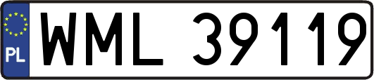 WML39119