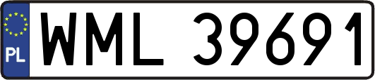 WML39691