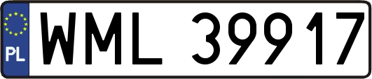 WML39917