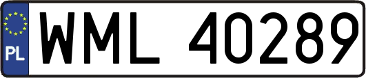 WML40289