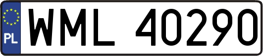 WML40290