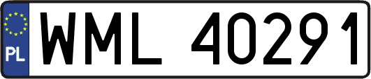 WML40291