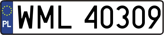 WML40309