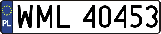 WML40453