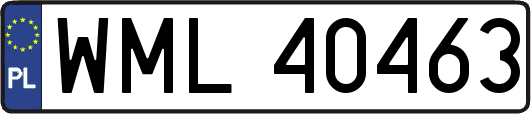 WML40463