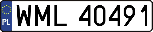 WML40491