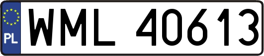 WML40613