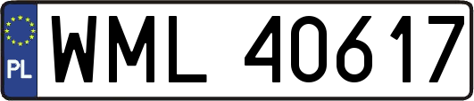 WML40617