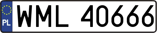 WML40666