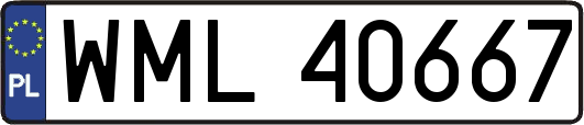 WML40667