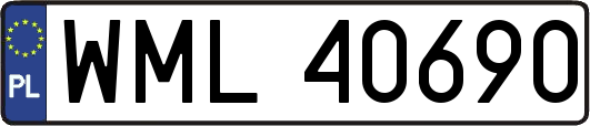 WML40690
