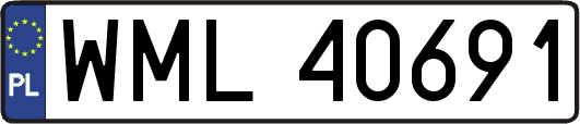 WML40691