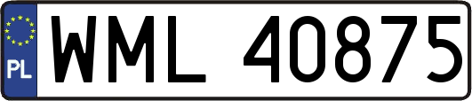 WML40875