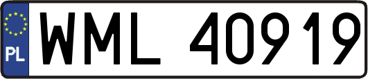 WML40919