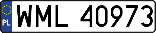 WML40973