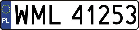 WML41253