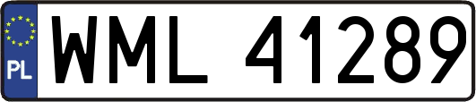 WML41289