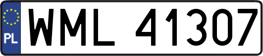 WML41307