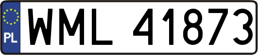WML41873