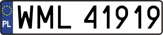 WML41919