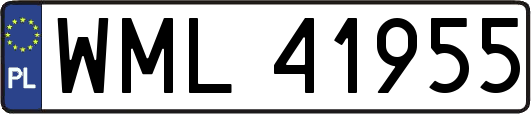 WML41955