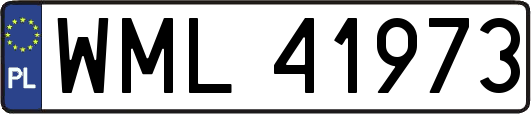 WML41973