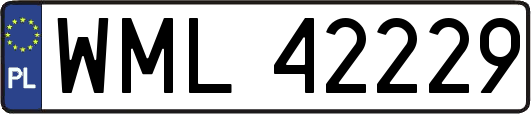 WML42229
