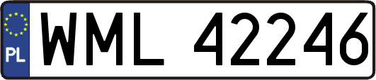 WML42246