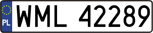 WML42289