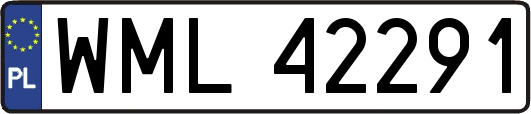 WML42291
