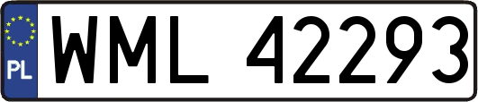 WML42293