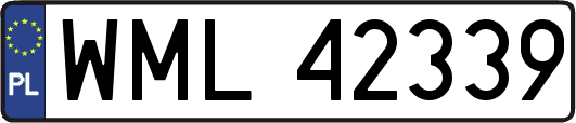 WML42339