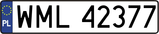WML42377