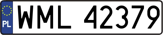 WML42379