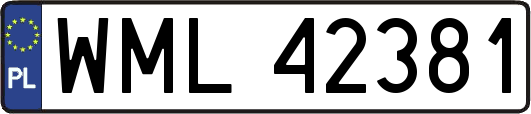 WML42381
