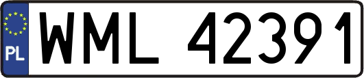 WML42391