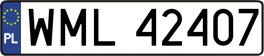 WML42407