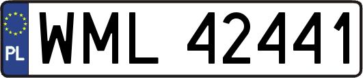 WML42441