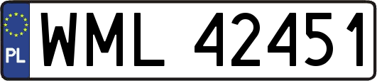 WML42451