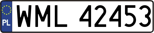 WML42453