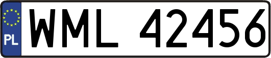 WML42456
