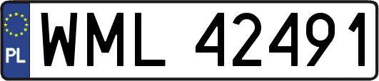 WML42491