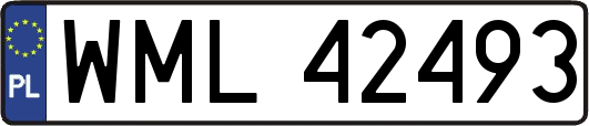 WML42493