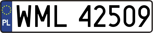 WML42509