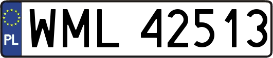WML42513