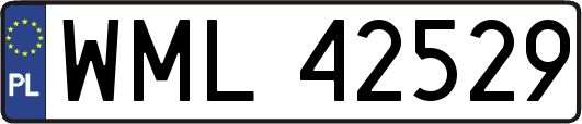 WML42529