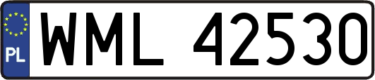 WML42530