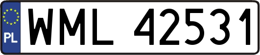 WML42531