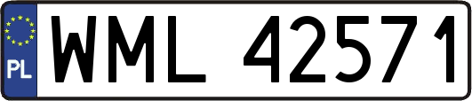 WML42571