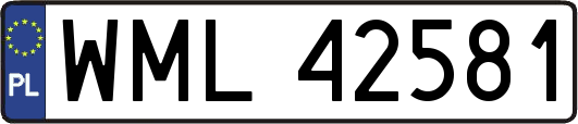 WML42581